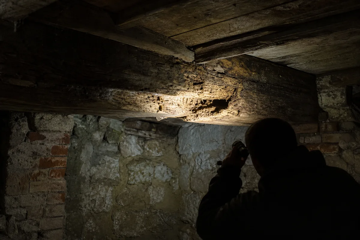 Main gantée examinant un mur humide et cloqué dans une maison ancienne